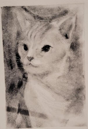 zelda, monotype